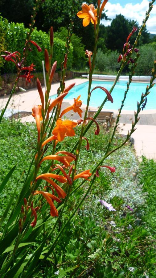 Bed And Breakfast La Maison De Nathalie Les Mayons Exterior photo